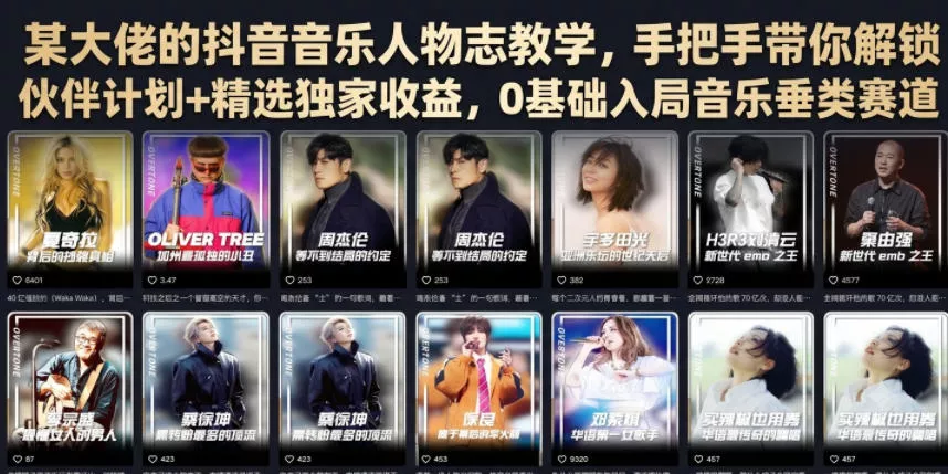 某大佬的抖音音乐人物志教学，手把手带你解锁伙伴计划+精选独家收益，0基础入局音乐垂类赛道网创项目-知识付费-在线课程-自媒体创业-网络副业-优利资源优利资源网