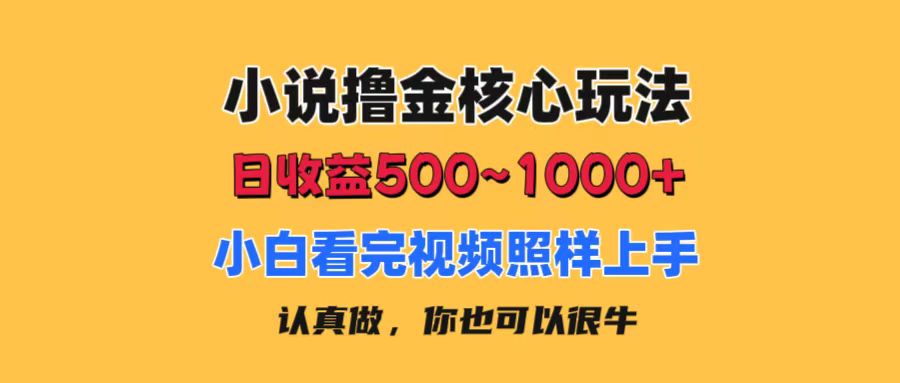 （11461期）小说撸金核心玩法，日收益500-1000+，小白看完照样上手，0成本有手就行网创项目-知识付费-在线课程-自媒体创业-网络副业-优利资源优利资源网