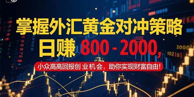 （15198期）掌握外汇黄金对冲策略，日赚 800 – 2000，小众高回报创业机会，助你实…网创项目-知识付费-在线课程-自媒体创业-网络副业-优利资源优利资源网