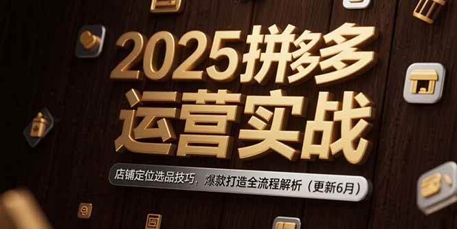 （15235期）2025拼多多运营实战：店铺定位选品技巧，爆款打造全流程解析（更新6月）网创项目-知识付费-在线课程-自媒体创业-网络副业-优利资源优利资源网