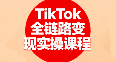 小杨老师·TikTok全链路变现实操课程网创项目-知识付费-在线课程-自媒体创业-网络副业-优利资源优利资源网