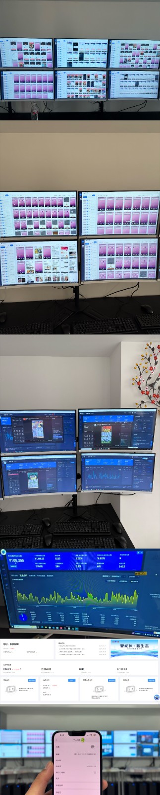 实操项目合集 挂机类型 直播类型 轻资产创业类型 课程分享各项目介绍和原理插图1