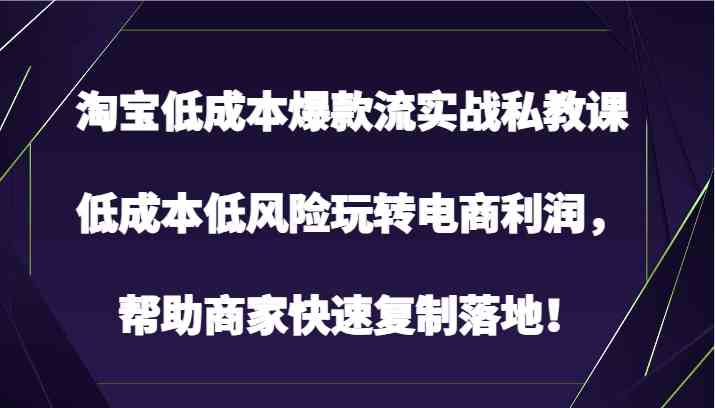 淘宝低成本爆款流实战私教课，低成本低风险玩转电商利润，帮助商家快速复制落地！网创项目-知识付费-在线课程-自媒体创业-网络副业-优利资源优利资源网